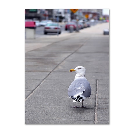 Trademark Fine Art CATeyes 'Boston 4' Canvas Art, 30x47 MZ0216-C3047GG